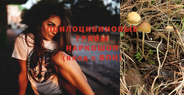 марки nbome Белокуриха