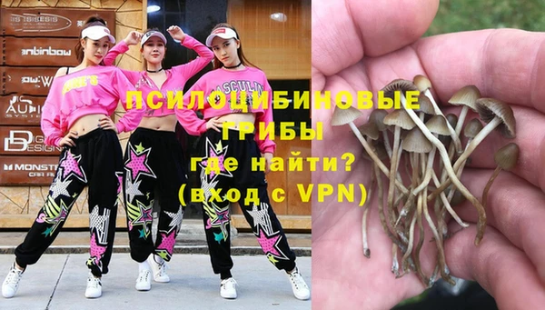 твердый Белоозёрский