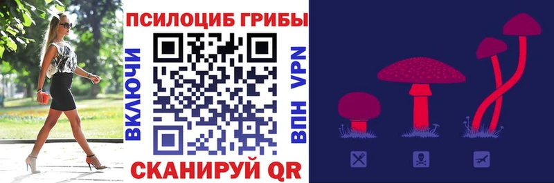 цена   мега   Галлюциногенные грибы MAGIC MUSHROOMS  Высоцк 