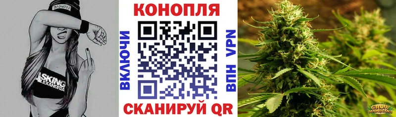 МАРИХУАНА сатива  Высоцк 